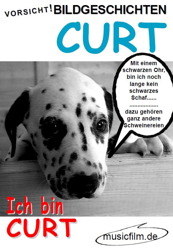 Dalmatiner BUCH mit DVD